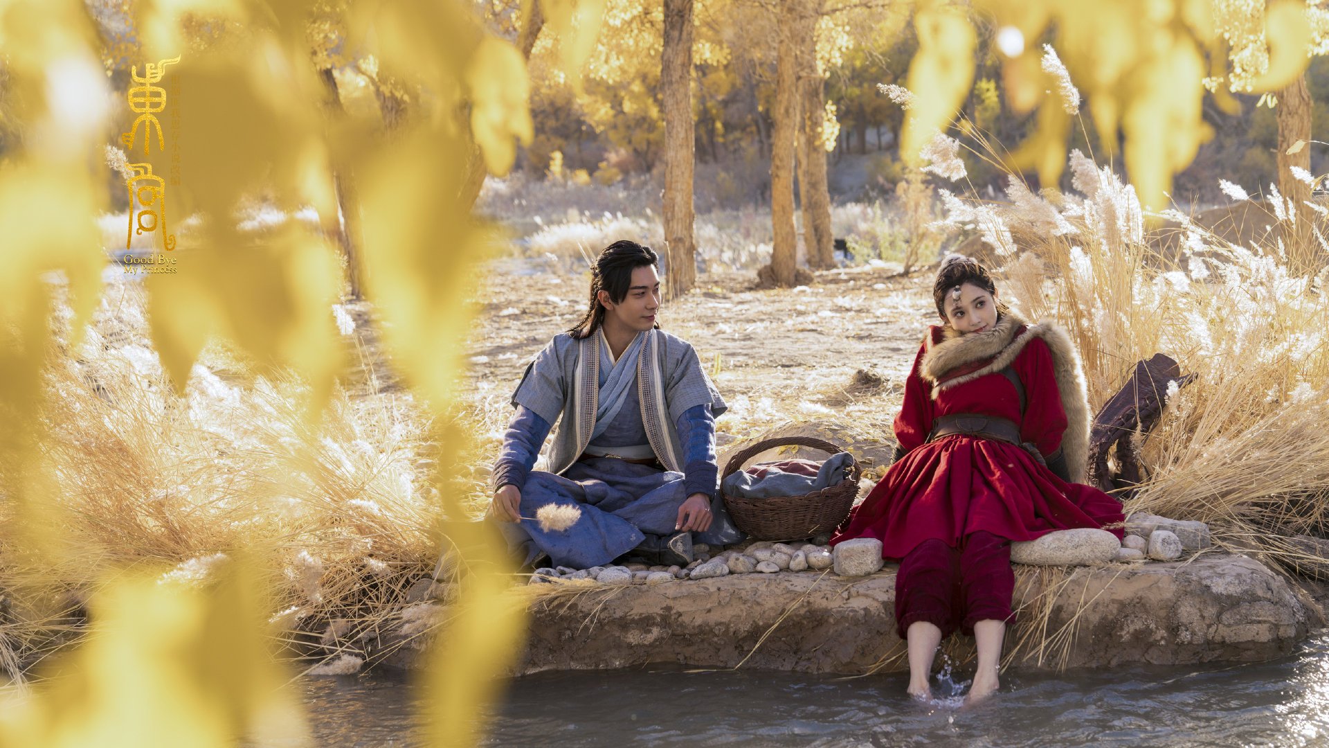 法国举办篮球青少年培训营,法国举办篮球青少年培训营有哪些