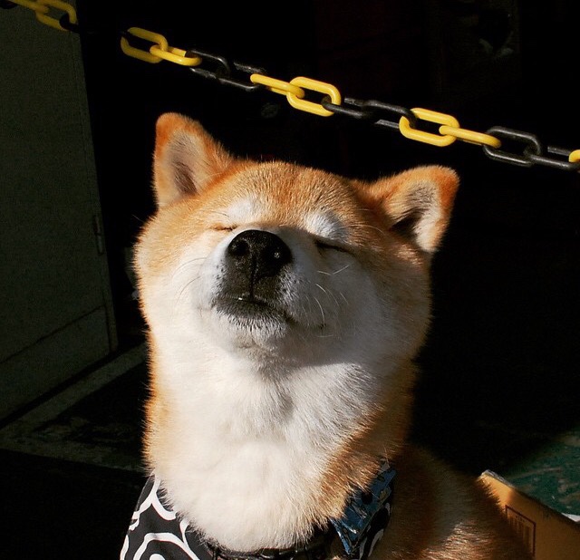 国家篮球联盟发展规划调整，中国篮球发展联盟是什么意思