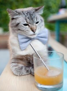 国家篮球联盟市场拓展战略,篮球国家队赛事