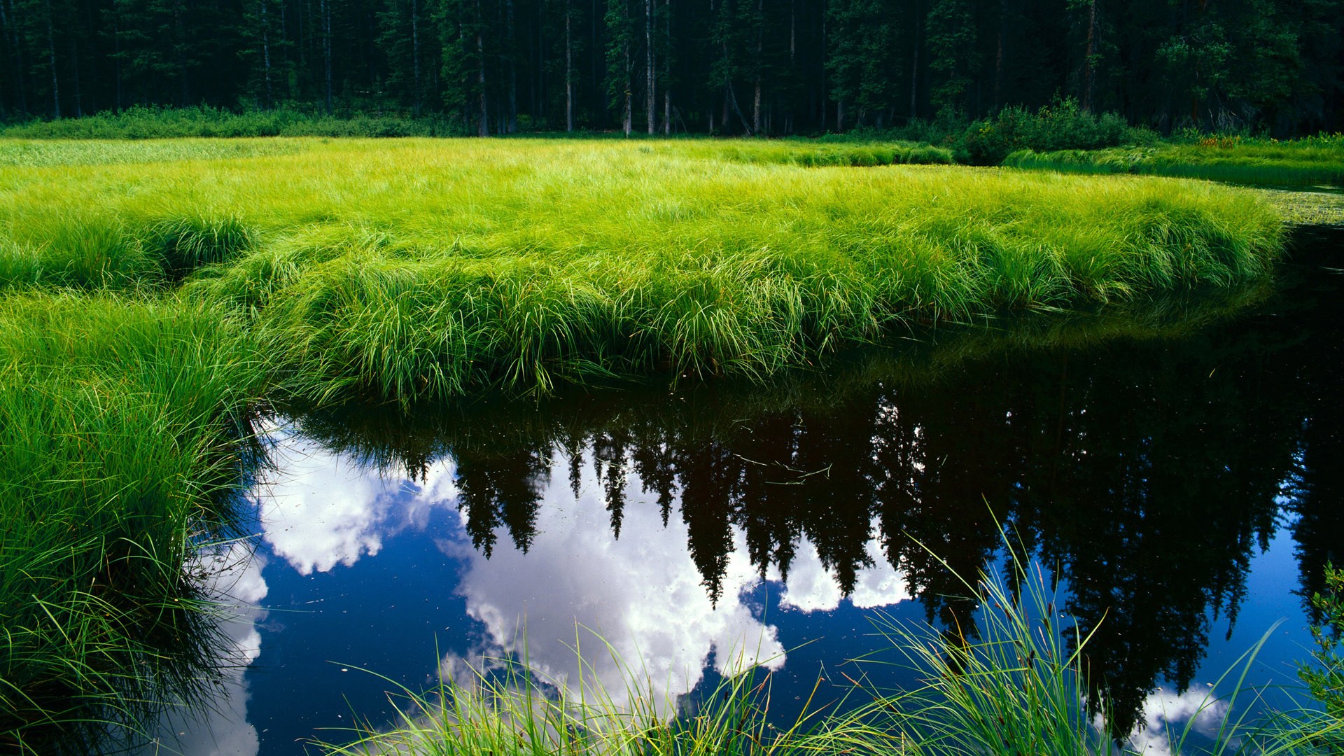 乐鱼体育(中国)官方网站-维达德卡萨布兰卡球迷支持力度加大，主场气氛火爆，达维德卡拉布里亚