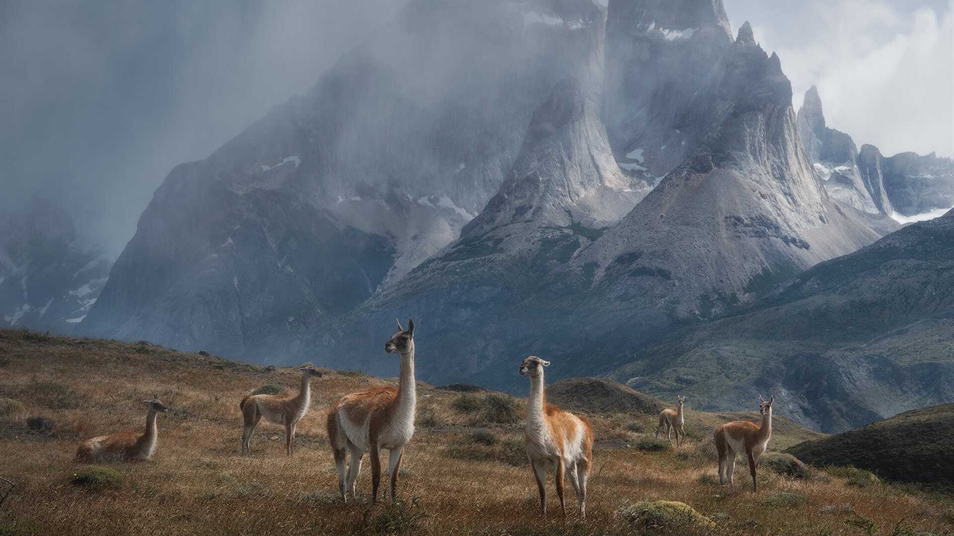 高校马拉松联赛覆盖百所高校，大学生马拉松联赛官网