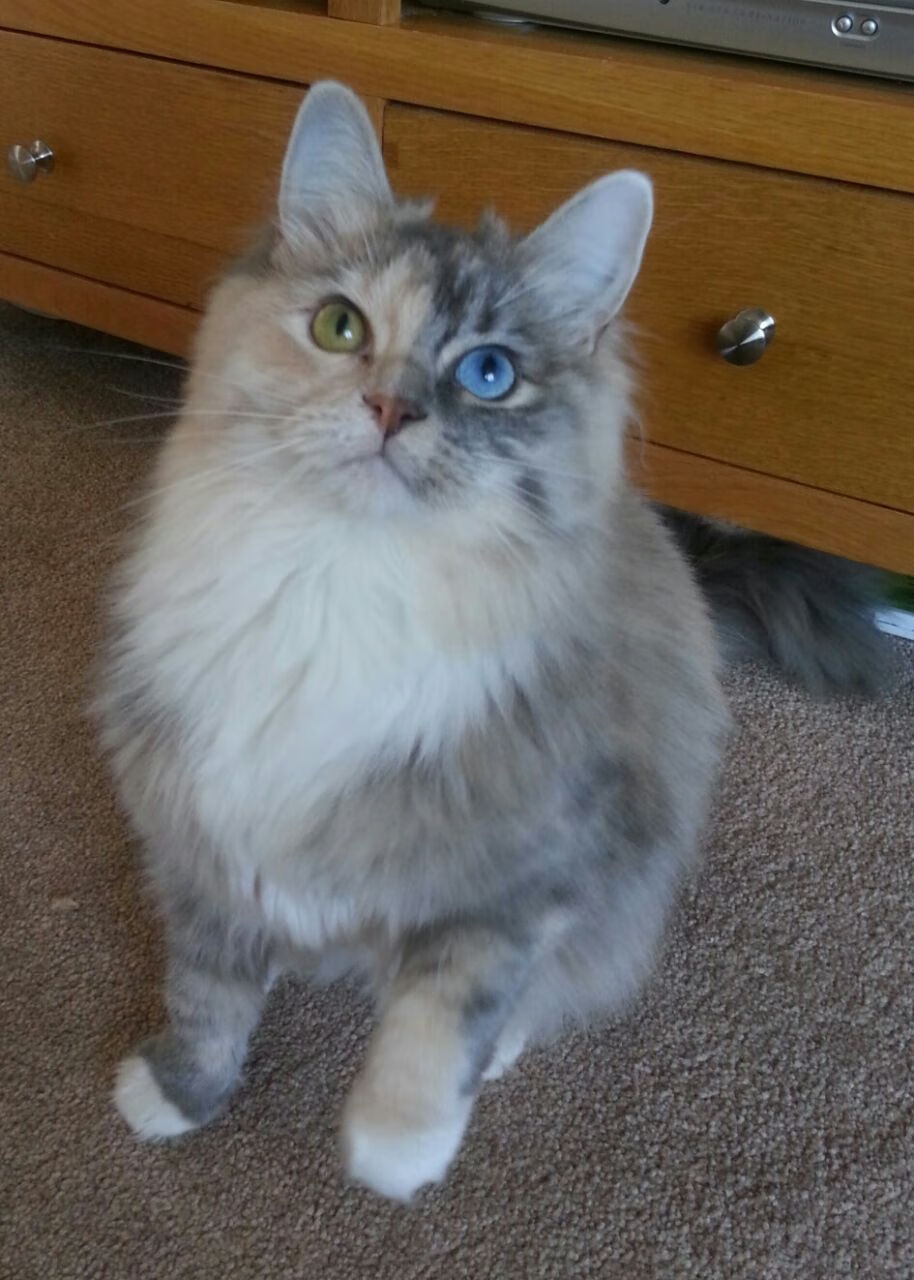 APP下载 LY Sports-德甲黑马崛起：惊喜不断引发热议，德甲综述