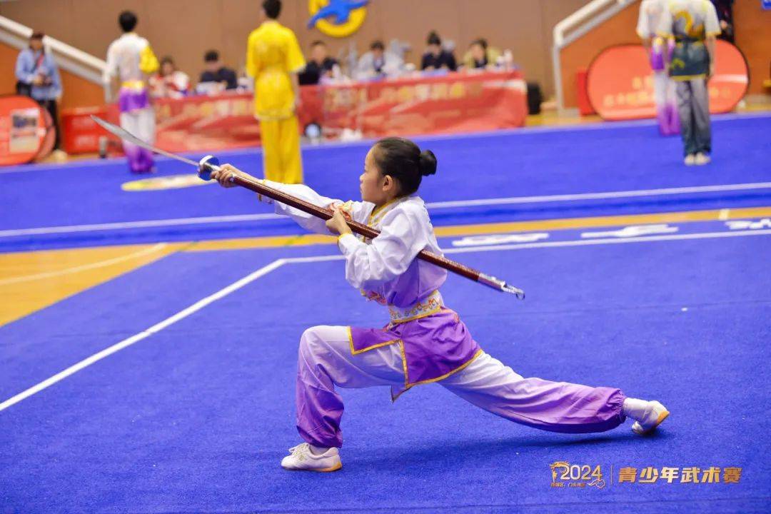 职业武术赛事：传统文化的传承与发展。的简单介绍